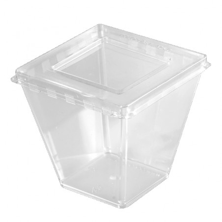 Verrines Carrées En Plastique PS - 5,5 Cl - Lot De 60 Pièces - Pour Apéritif, Dessert, Événements - 10