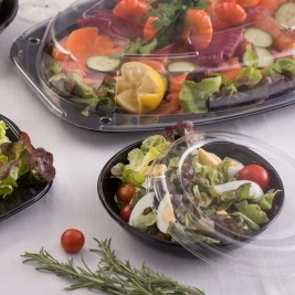 Assiette plastique pour plats a livrer