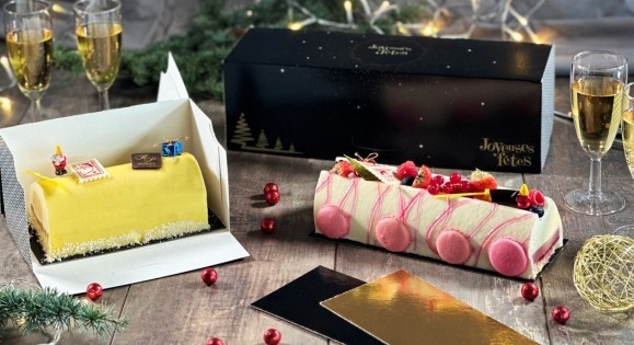 Boîte à bûche pour soutenir et transporter vos desserts glacés